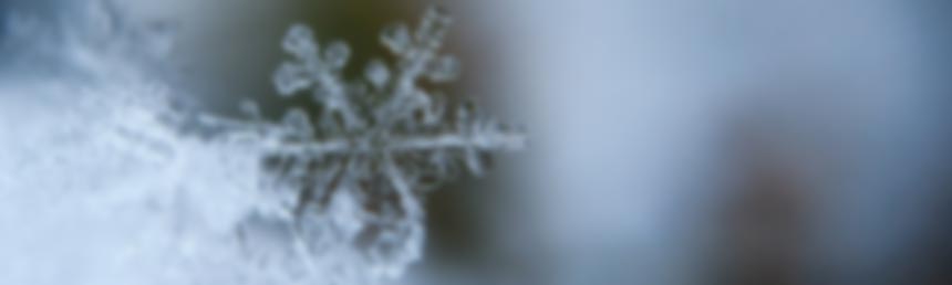 Schneeflocke