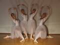 Body, Art & Expression - Schule für Ballett und darstellende Kunst