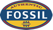 Firmenlogo Fossil Store