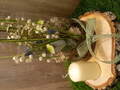 Beckers Blumenwiese