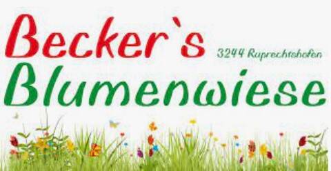 Firmenlogo Beckers Blumenwiese