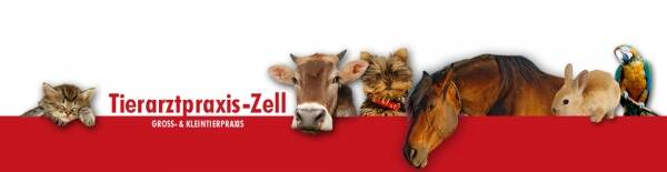 Firmenlogo Tierarztpraxis Zell - Dr. Peter & Andreas Wetscher, Mag. Stefan Rieser & Dr. Astrid Gredler