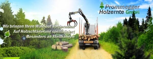 Firmenlogo Prommegger Holzernte GmbH