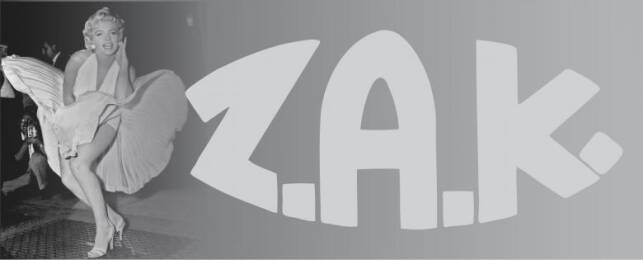 Firmenlogo Z.A.K Zuluft - Abluft - Klimaanlagen GmbH