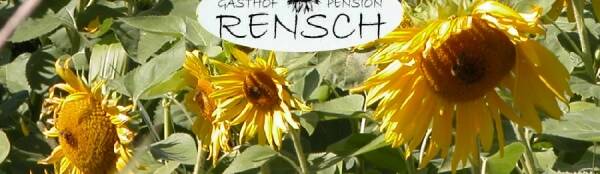 Firmenlogo Gasthof-Pension Rensch- Walter Rensch