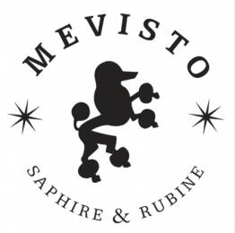 Firmenlogo MEVISTO GmbH - Edelstein-Bestattung