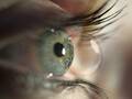 Kontaktlinseninstitut Linz Augenarzt  Dr. Harald Waser