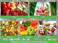 Lackner - Obst & Gemüsehandel