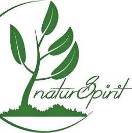 Firmenlogo Naturspirit