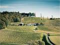 Weingut Gross GmbH