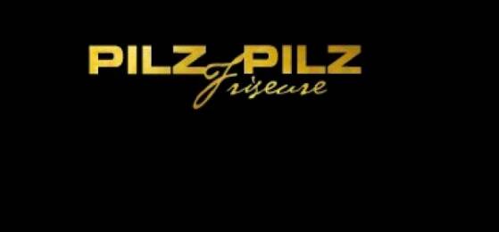 Firmenlogo Pilz & Pilz GmbH