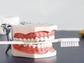 Dr.med. Petra Drabo-Hohensinner - Fachärztin für Zahn-, Mund- und Kieferheilkunde
