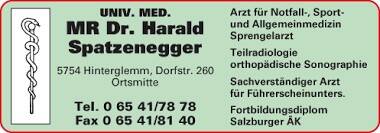 Firmenlogo Ordination MR. Dr. Harald Spatzenegger