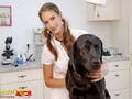 Tierarztpraxis mit Herz - Mag. Mechthild Gold