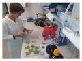 bio-ferm Biotechnologische Entwicklung und Produktion