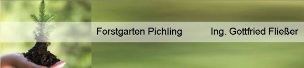 Firmenlogo Forstgarten Pichling Ing. Gottfried Fließer