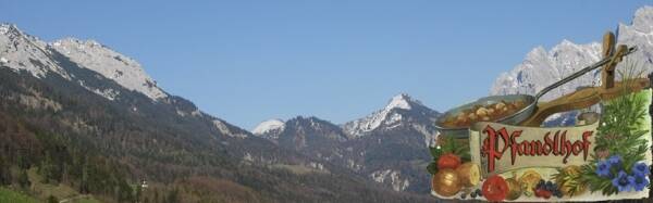 Firmenlogo Alpengasthof Pfandlhof