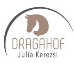 Firmenlogo Dragahof