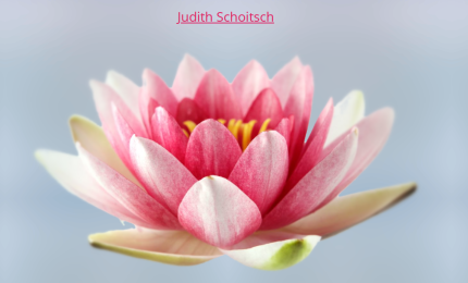 Firmenlogo Humanenergetik Judith Schoitsch