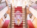 Michele Agostinis Photographer