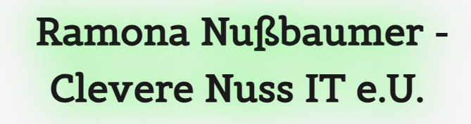 Firmenlogo Clevere Nuss IT