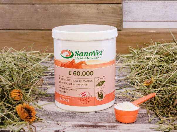 SanoVet GmbH